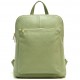 Colour Light Green