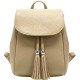Colour Camel