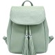 Colour Light Green