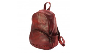 Vintage Leather Clearance Edition Backpack