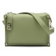 Colour Light Green