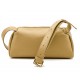 Colour Camel