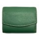 Colour Light Green